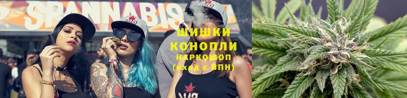 закладки  Киренск  Конопля White Widow 